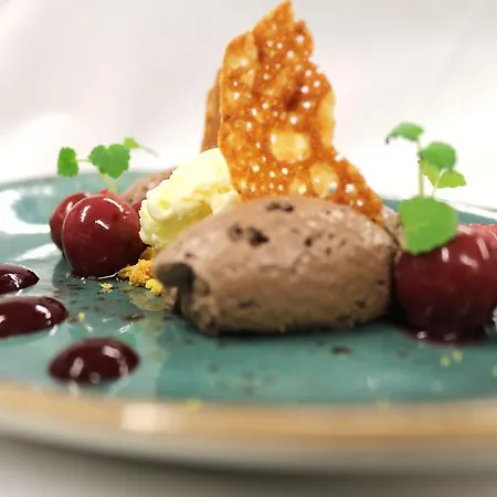 Saillant Centre - Auping Partner 马斯特里赫特